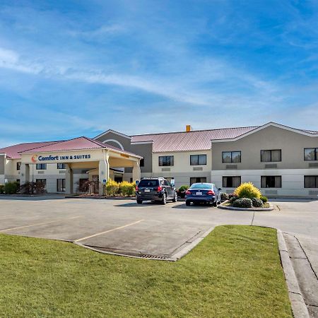 Comfort Inn & Suites Leeds I-20 Exterior foto